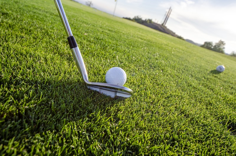 Championship golf course in morning light